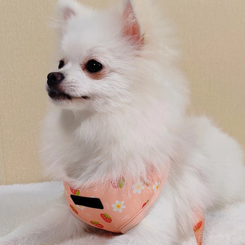 Geometric Pattern Pet Harness price