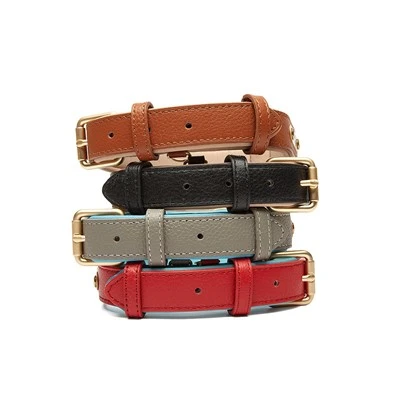 Padded Leather Dog Collar Padded Leather Dog Collar
